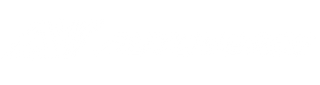AutoVerse | Premium Car Care Products at the Best Prices
